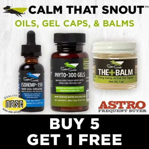 Promotion Image