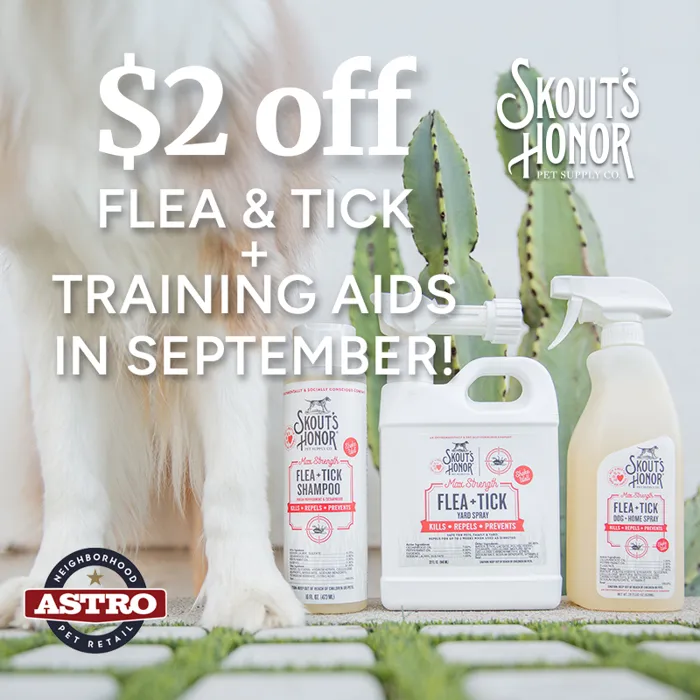 Promotion Image